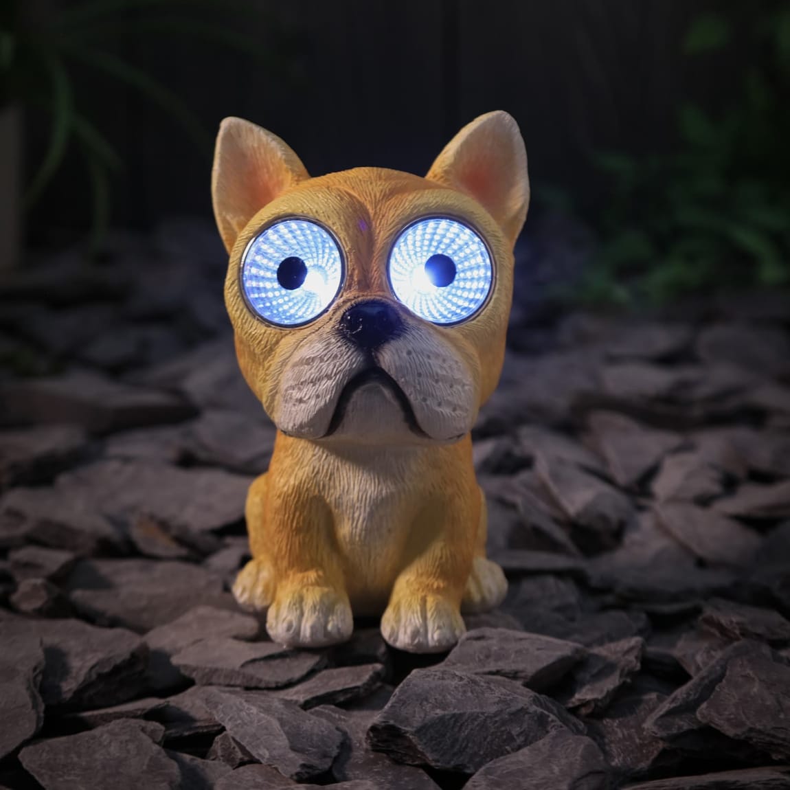 429642-solar-powered-big-eyed-dogs-4