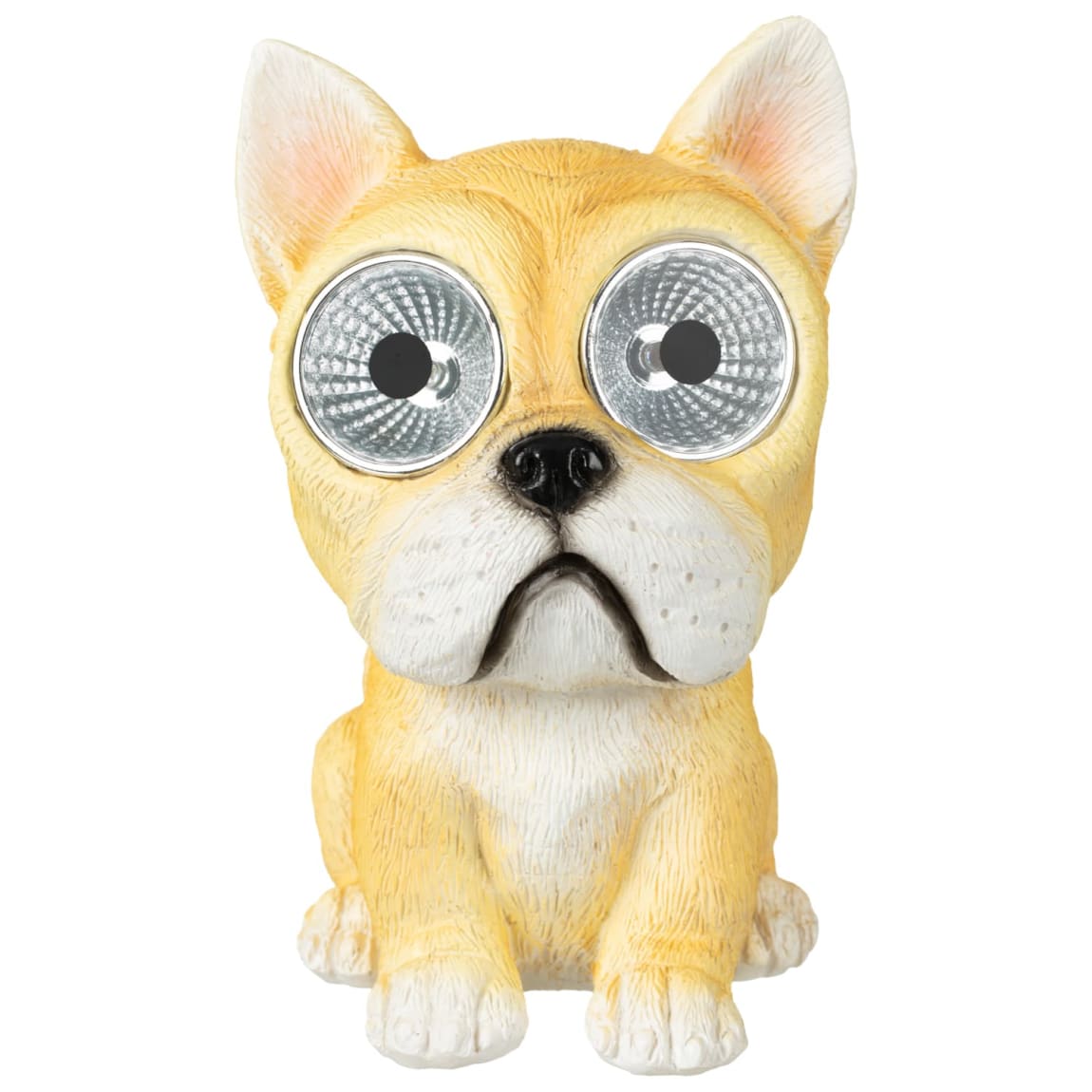 429642-solar-powered-big-eyed-dogs-41