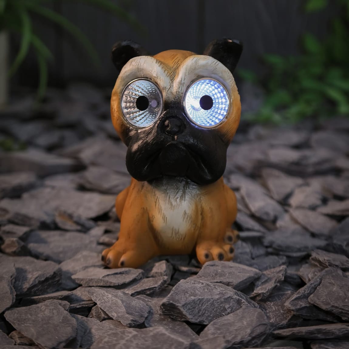 429642-solar-powered-big-eyed-dogs-6