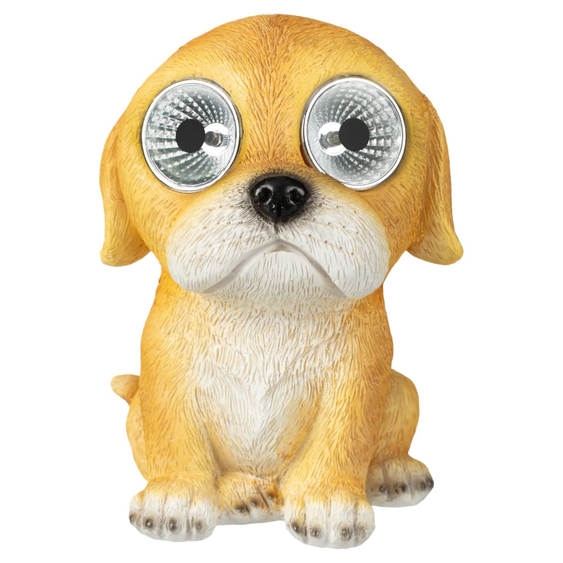 429642-solar-powered-big-eyed-dogs-61