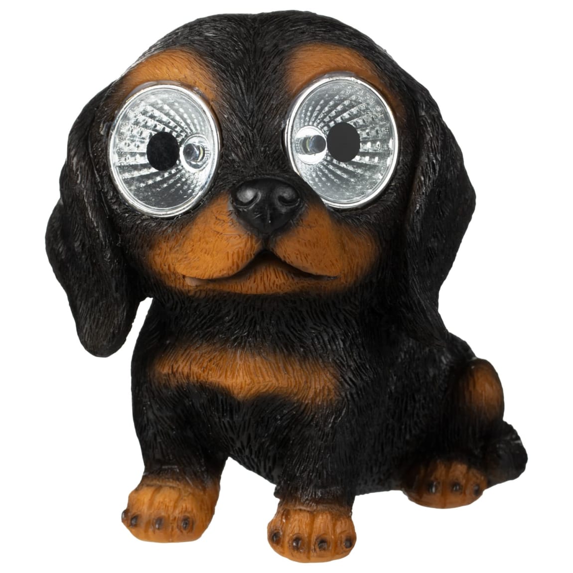 429642-solar-powered-big-eyed-dogs-7