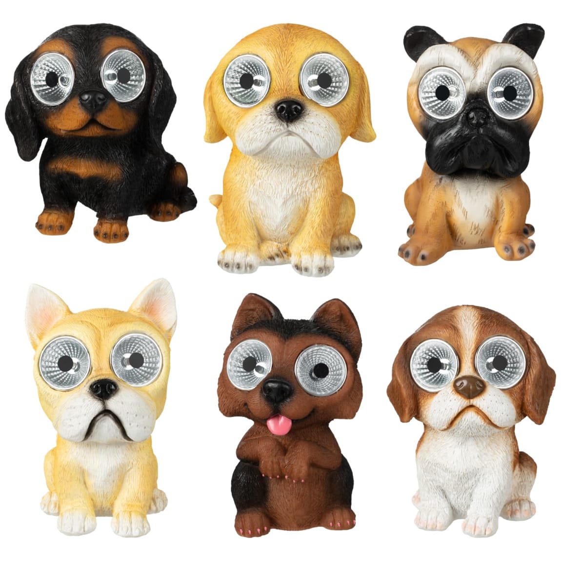 429642-solar-powered-big-eyed-dogs1