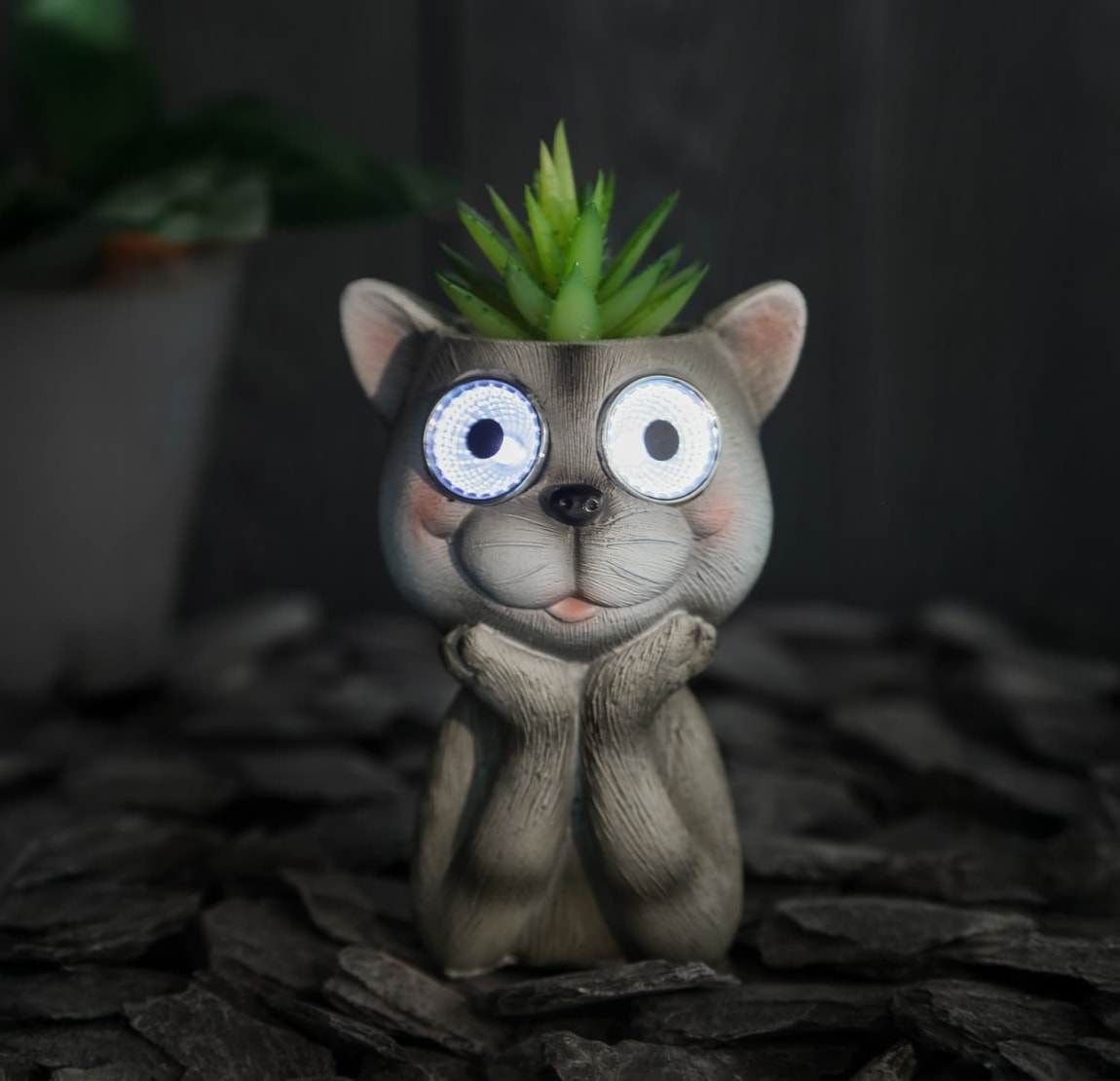 429646-solar-powered-cat-with-artificial-succulent