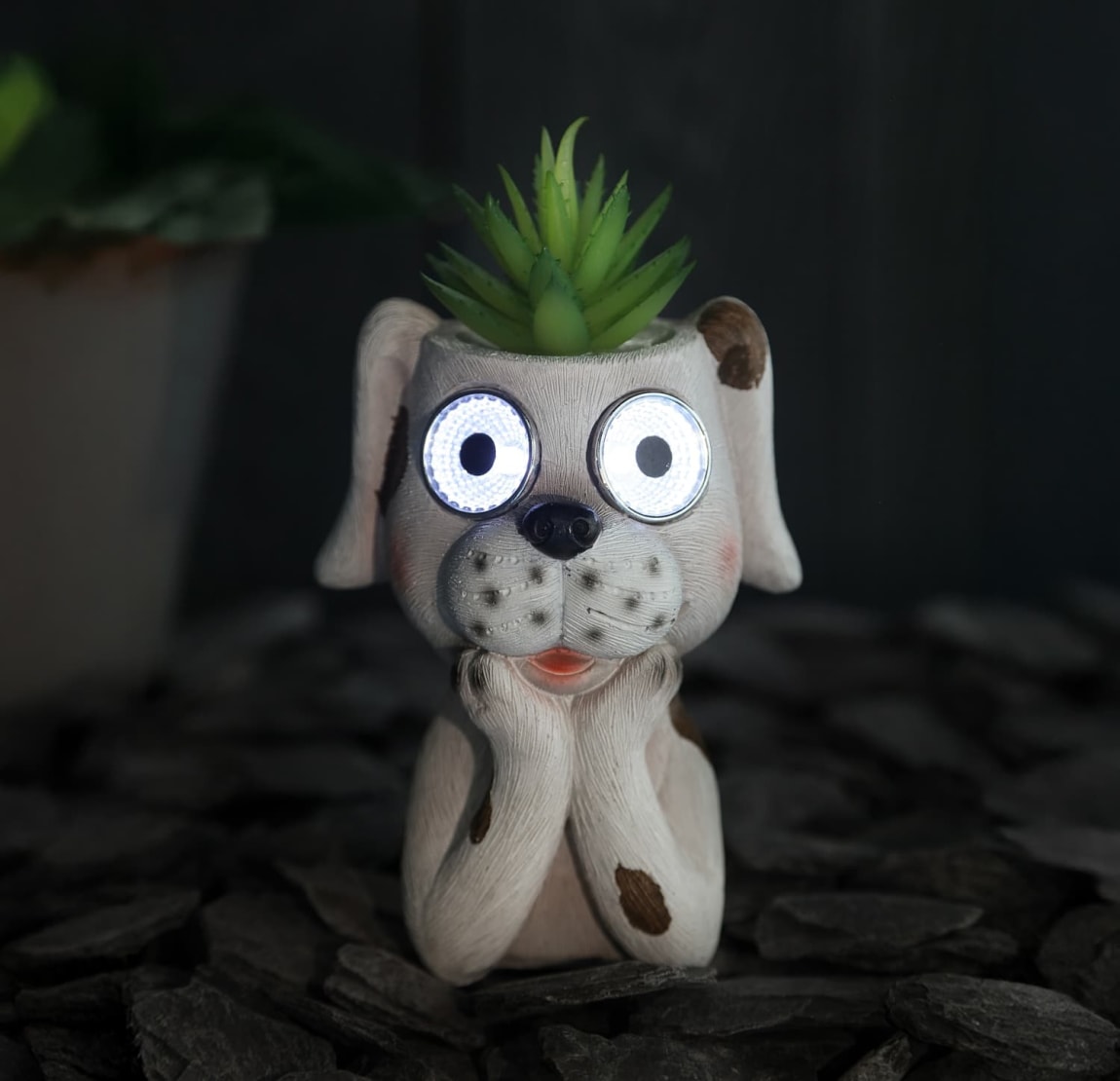 429646-solar-powered-dog-with-artificial-succulent