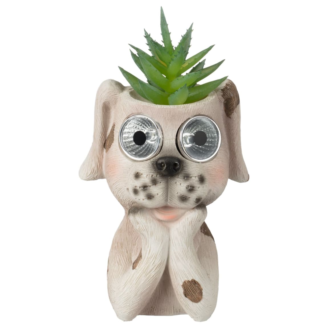 429646-solar-powered-with-artificial-succulent-dog