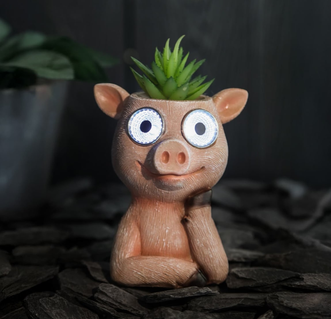429648-solar-powered-pig-with-artificial-succulent