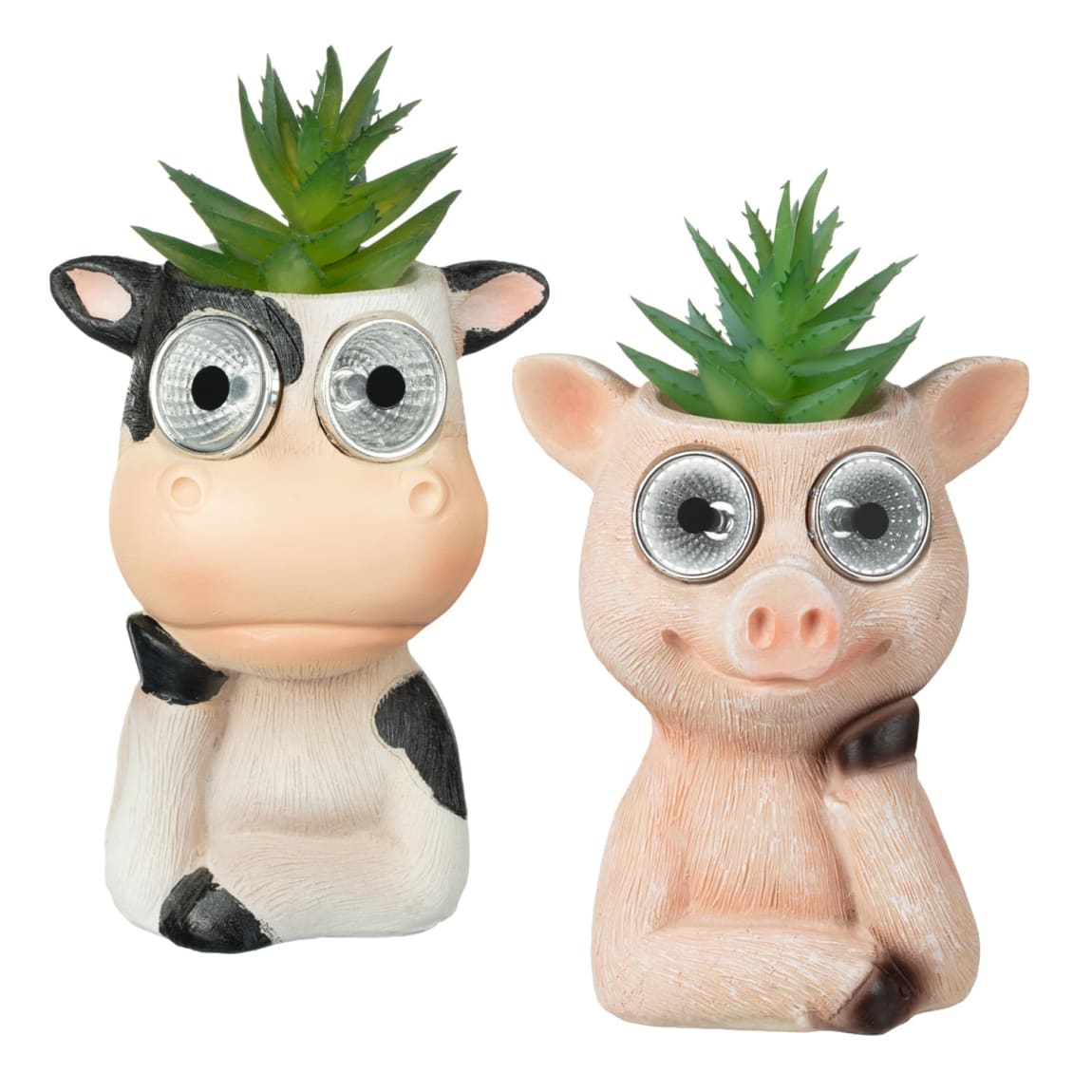 429648-solar-powered-with-artificial-succulent-pig-group