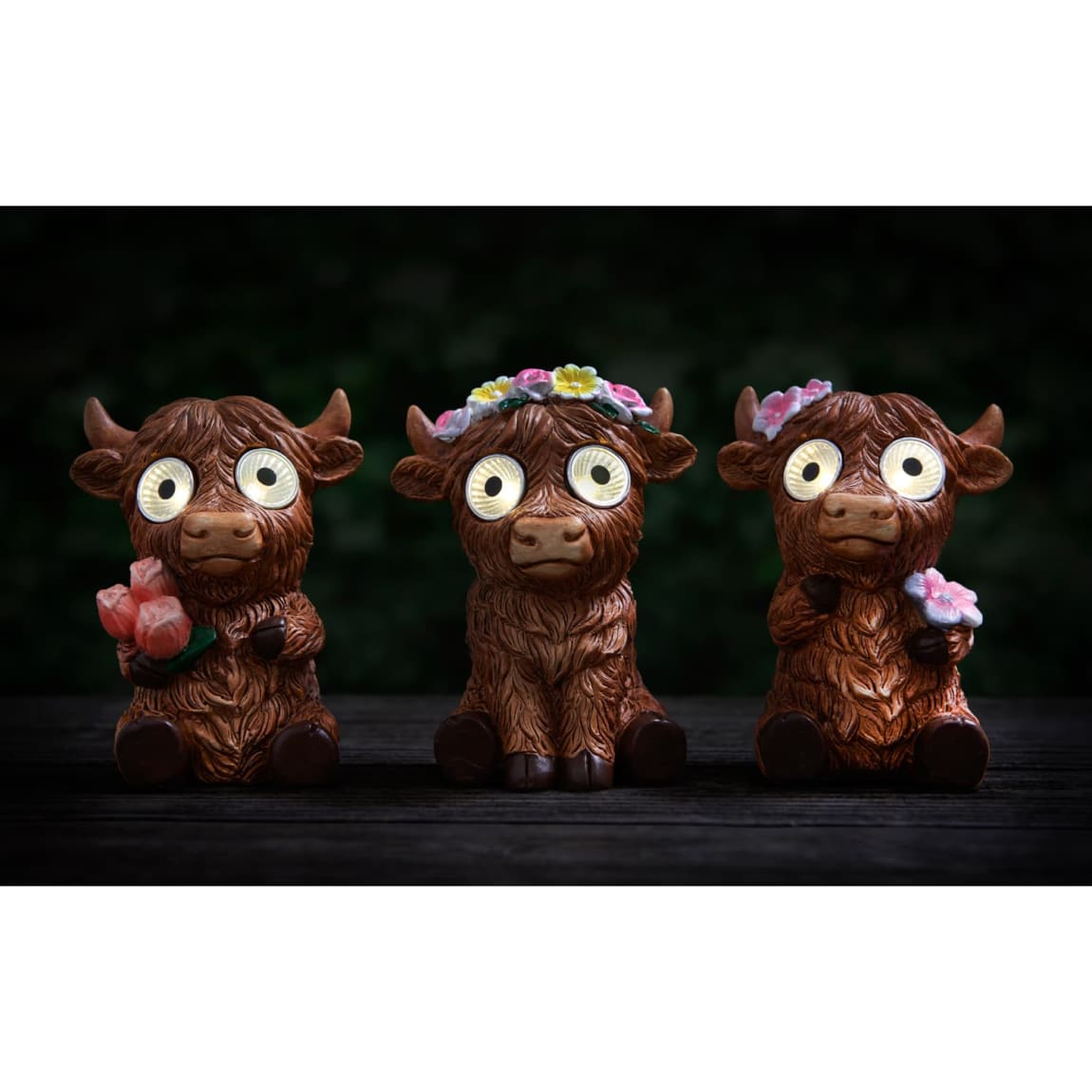 429683-solar-powered-big-eyed-highland-cow-4