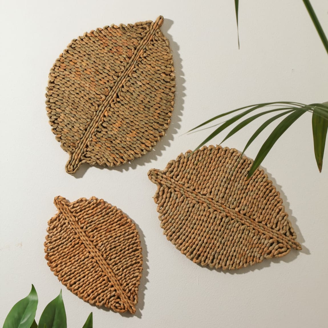 429694-3-pack-natural-leaves-wall-art