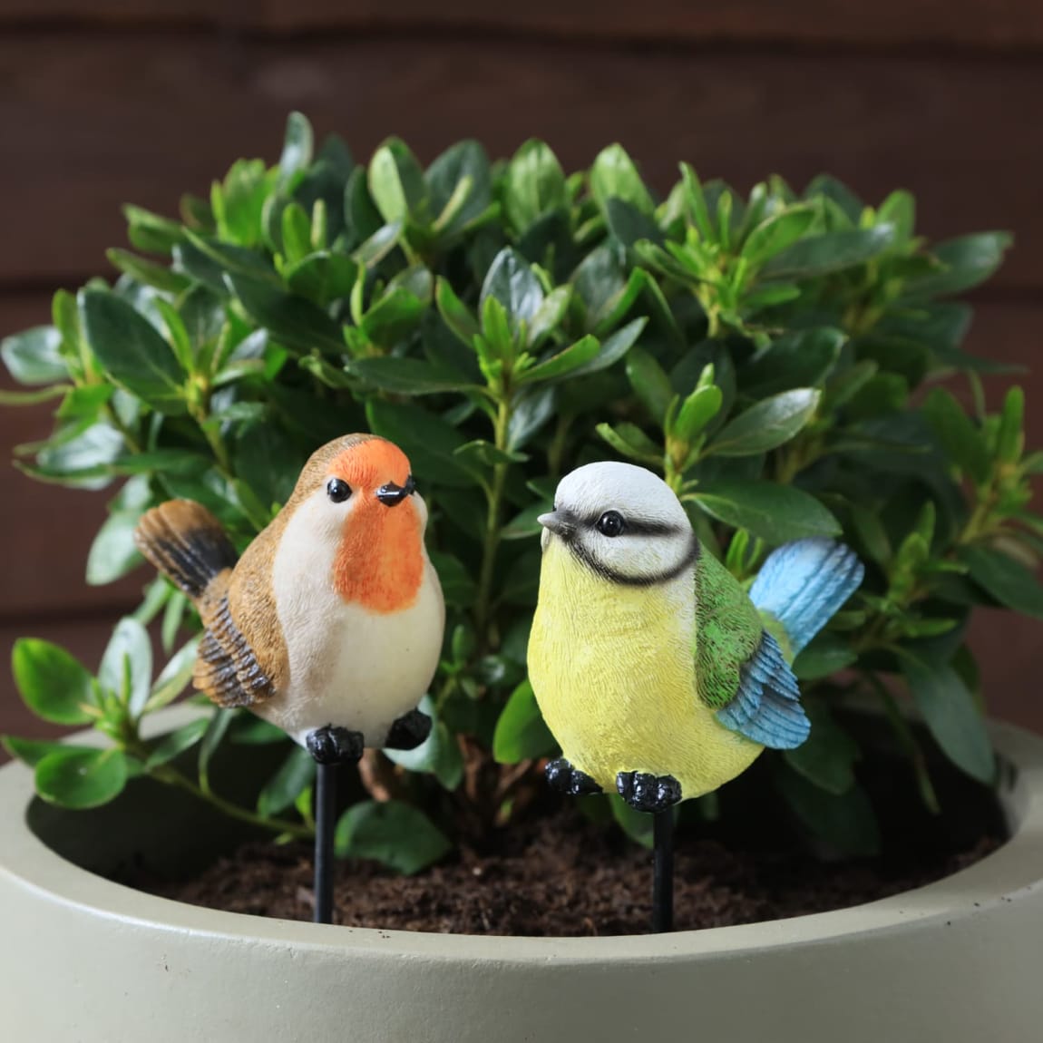 429723-bird-pot-stick