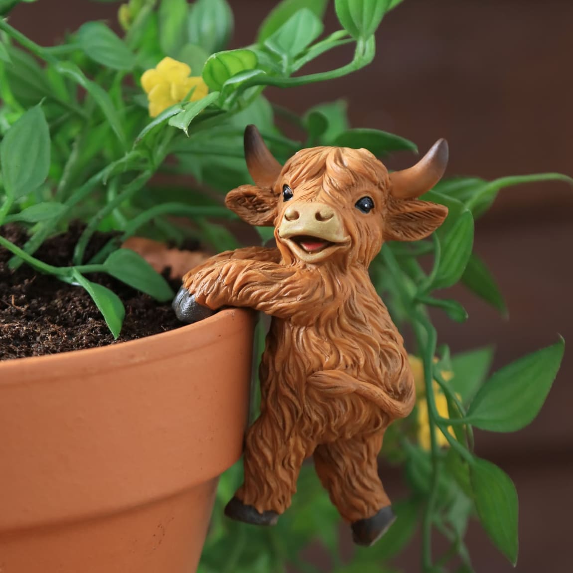 429744-highland-cow-plant-pot-hanger
