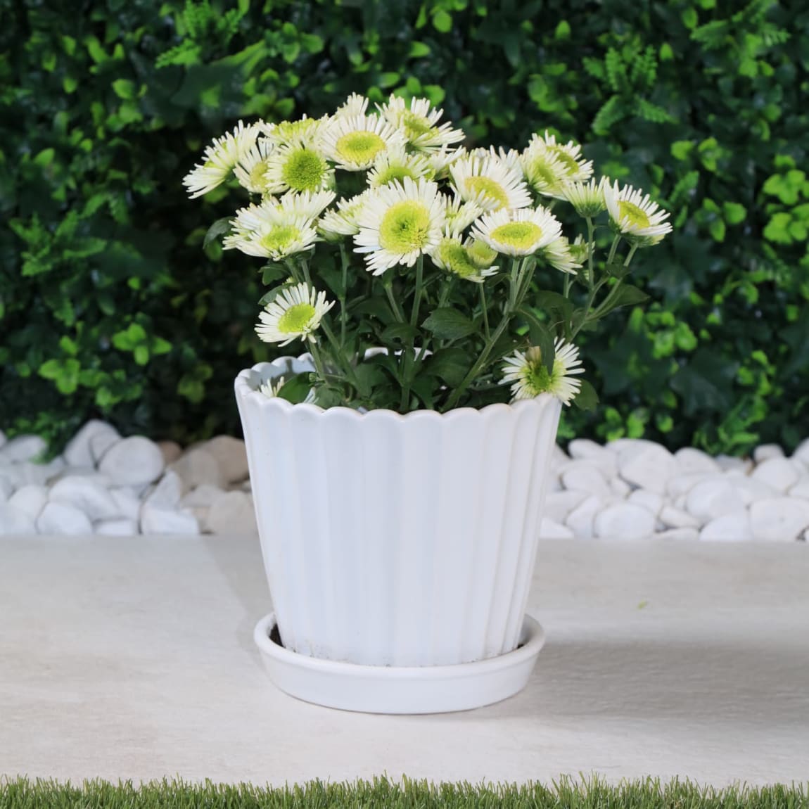 429843-large-saclloped-ceramic-planter