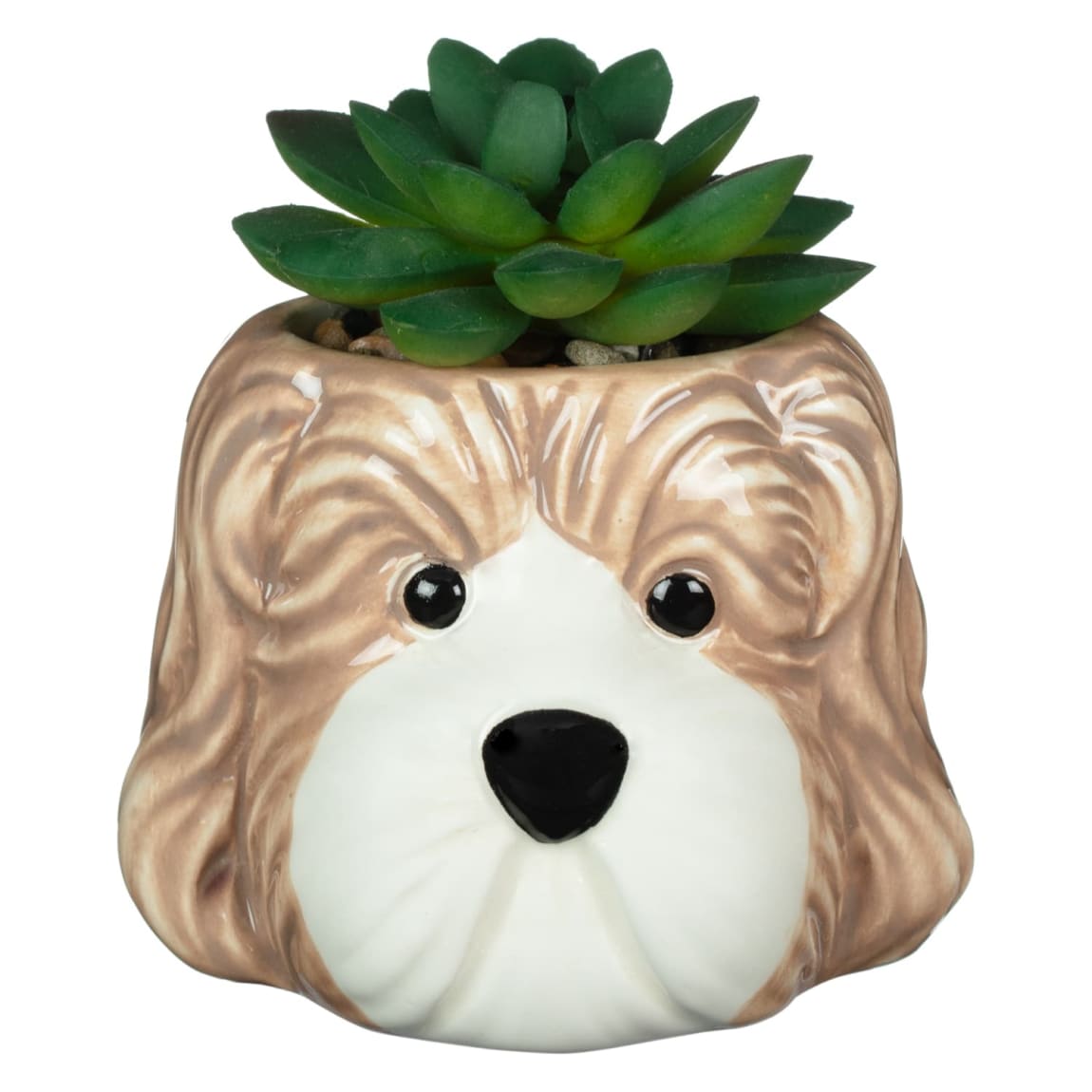 430034-novely-dog-succulent-2