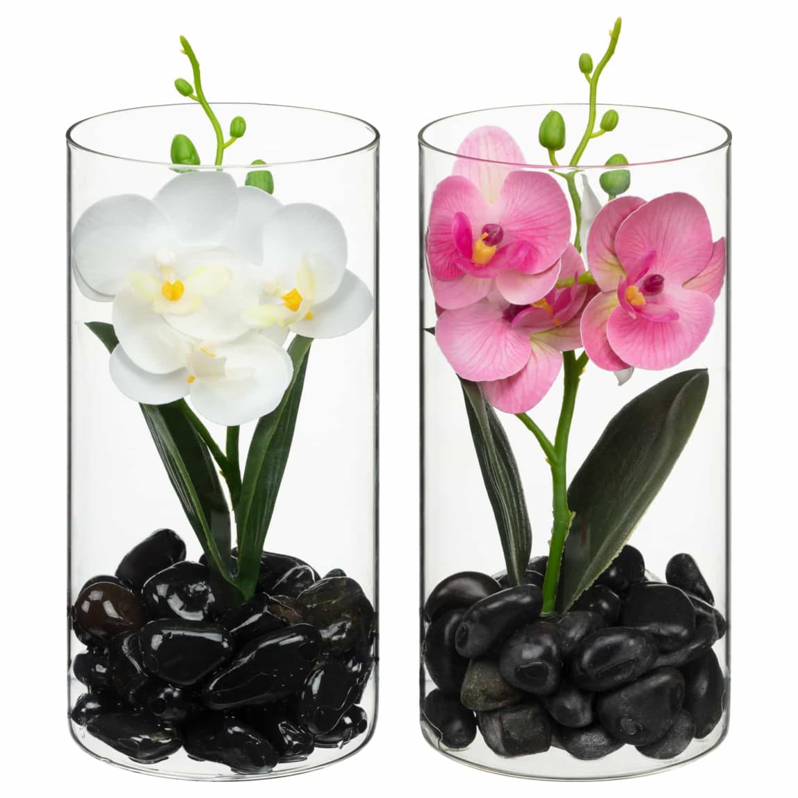 430048-orchid-in-glass-jar-group