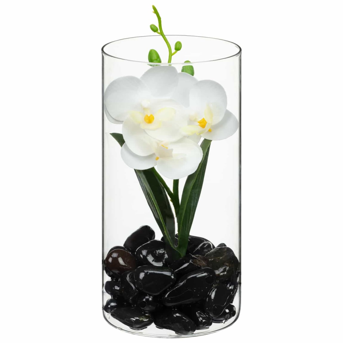 430048-orchid-in-glass-jar-white
