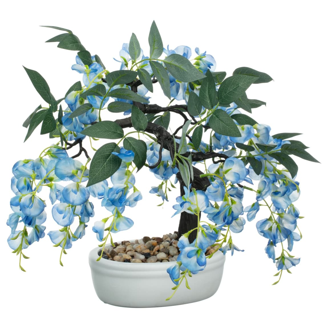 430051-wisteria-bonsai-tree-in-white-pot-blue-2