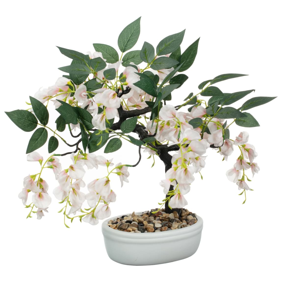 430051-wisteria-bonsai-tree-in-white-pot