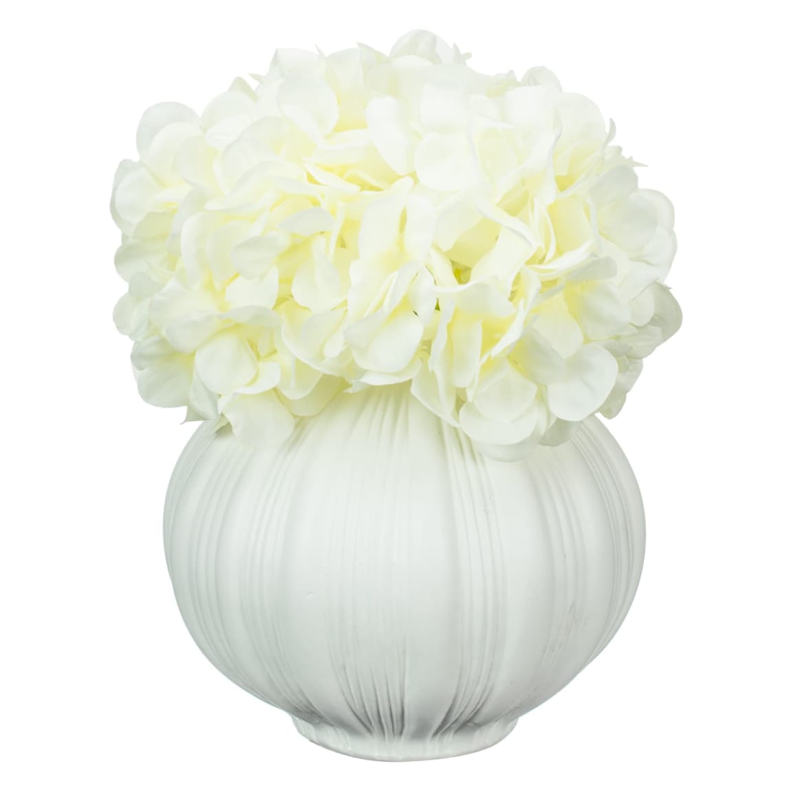 430061-hydrangea-in-ribbed-pot-2