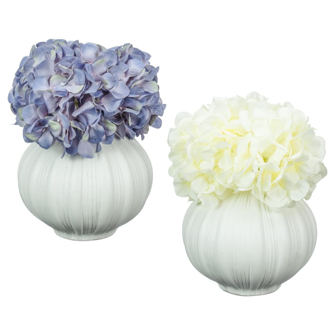 430061-hydrangea-in-ribbed-pot-group