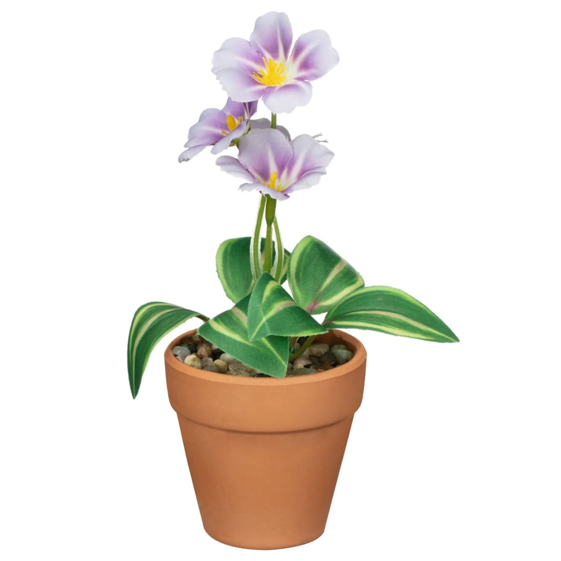 430081-small-flowers-in-teracotta-pot-3