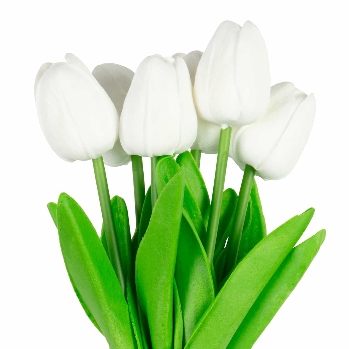 430391-tulip-bunch-white-2