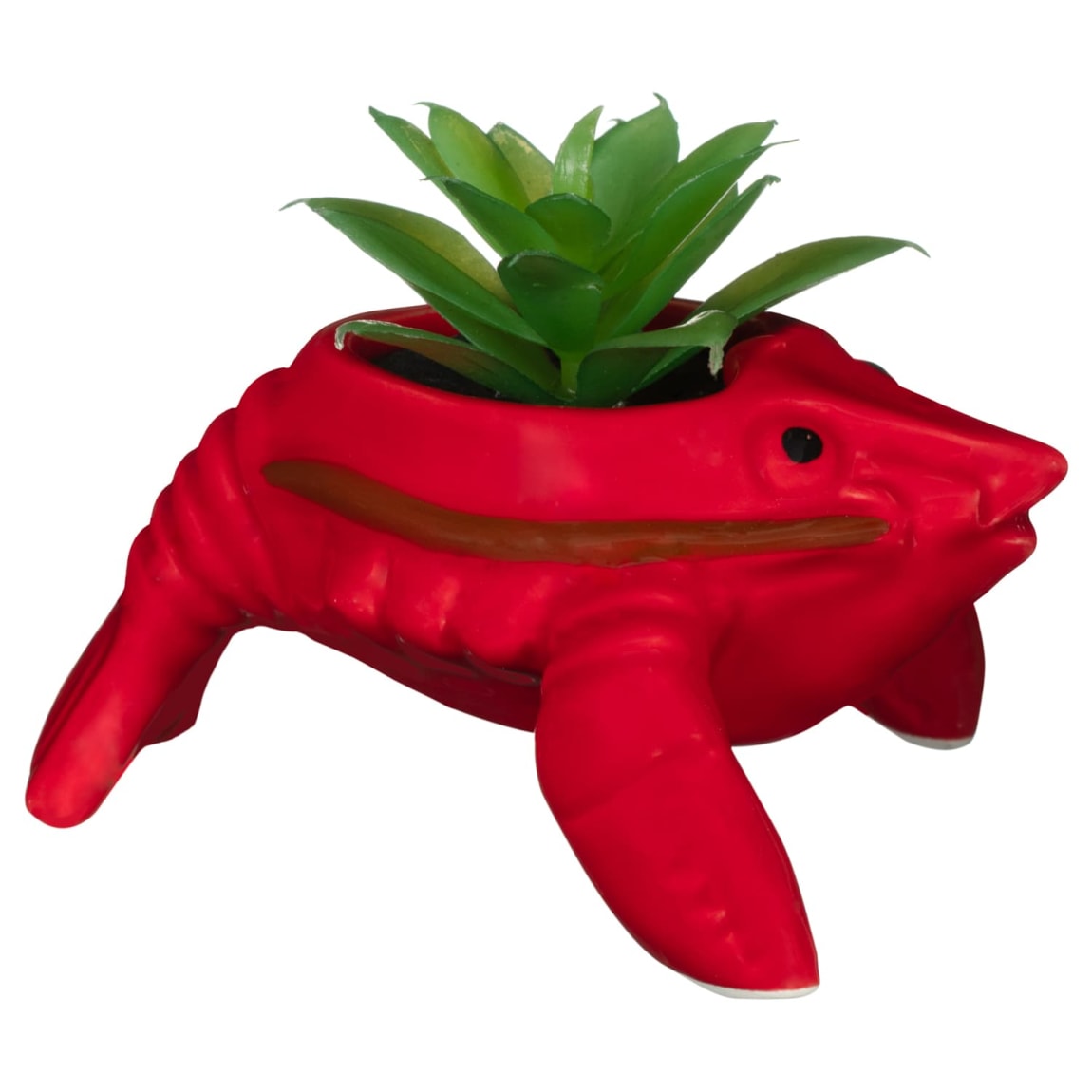 430429-lobster-succulent