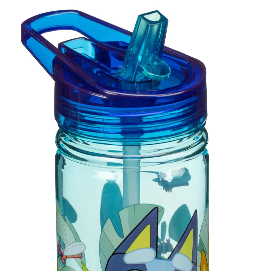 431548-bluey-bottle