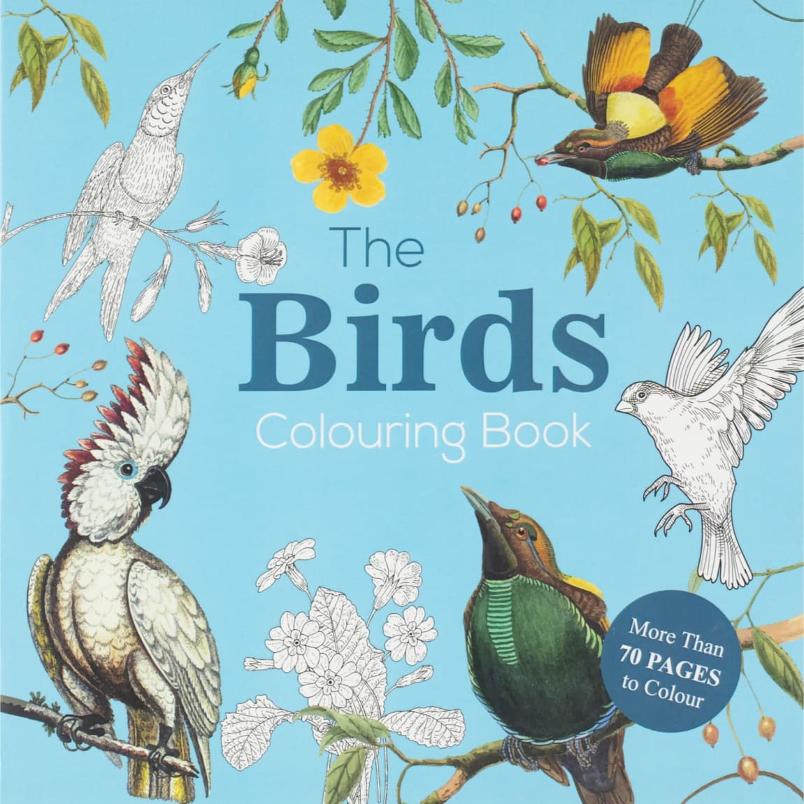 431770-colouring-book-birds