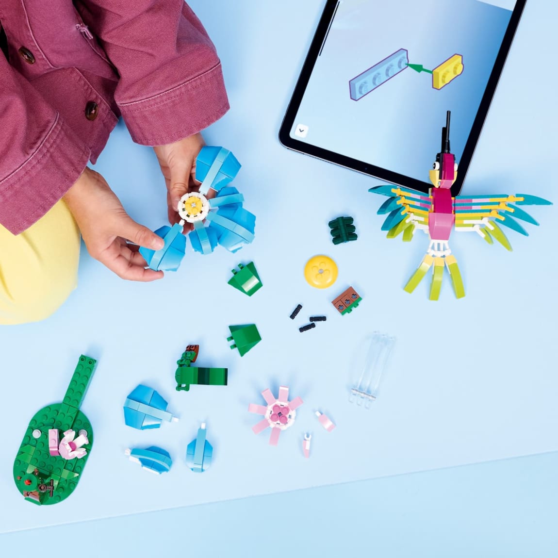 432951-lego-creator-wild-animals-colourful-hummingbird-3