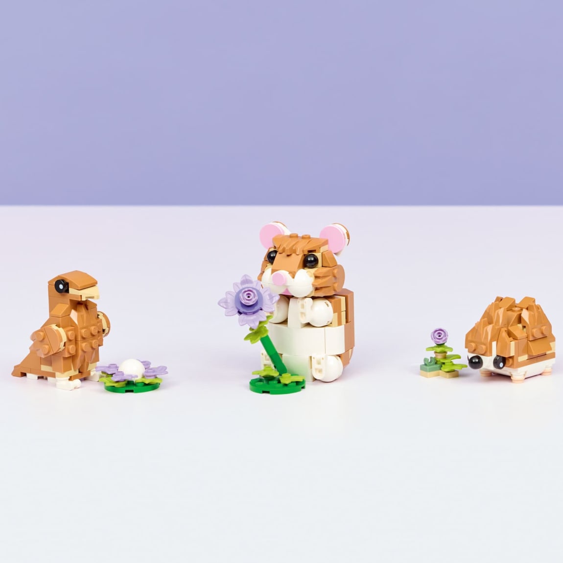 432954-cute-hamster-with-a-flower-5
