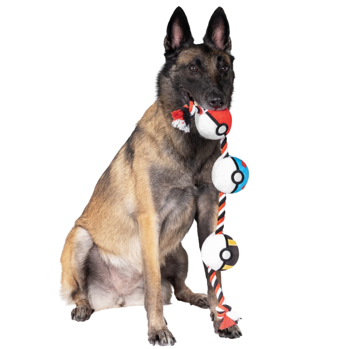 433681-pokemon-rope-toy-6