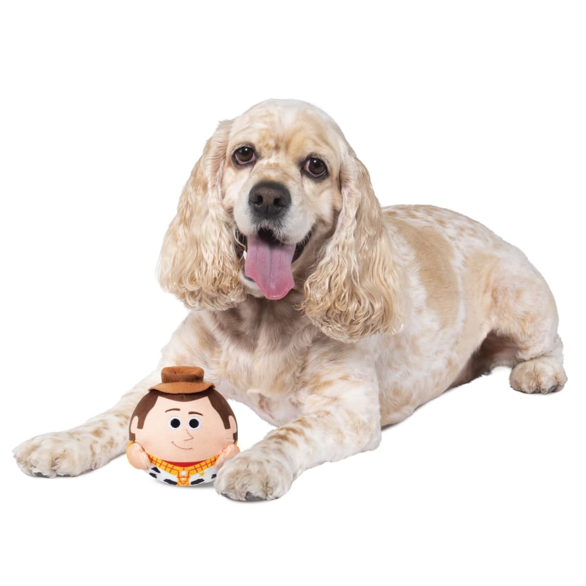 434072--toy-story-pet-toy-6