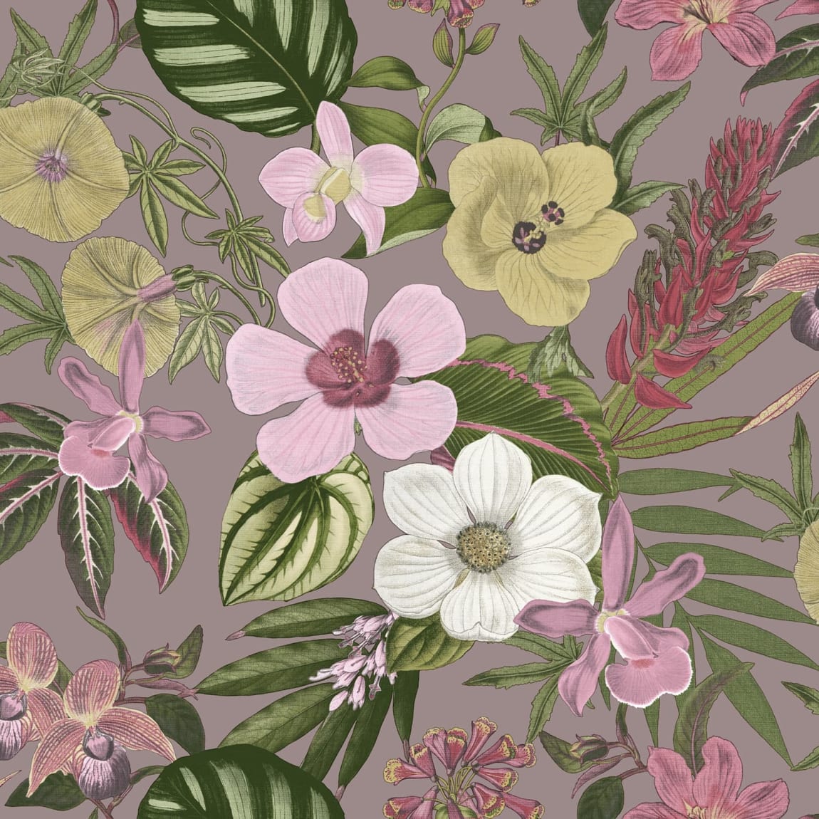 434452-priya-floral-wallpaper-2