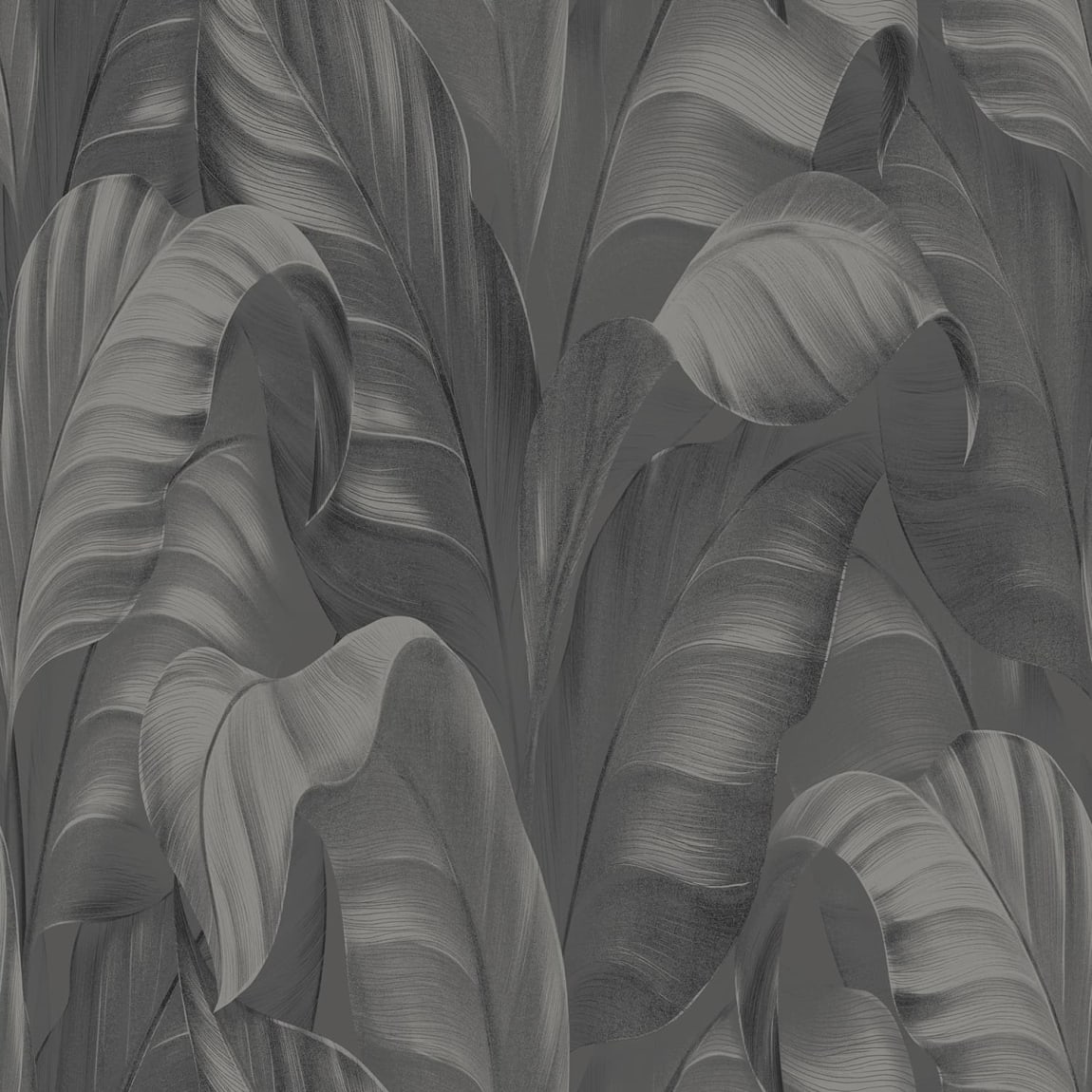 434498-sumatra-leaf-charcoal-wallpaper