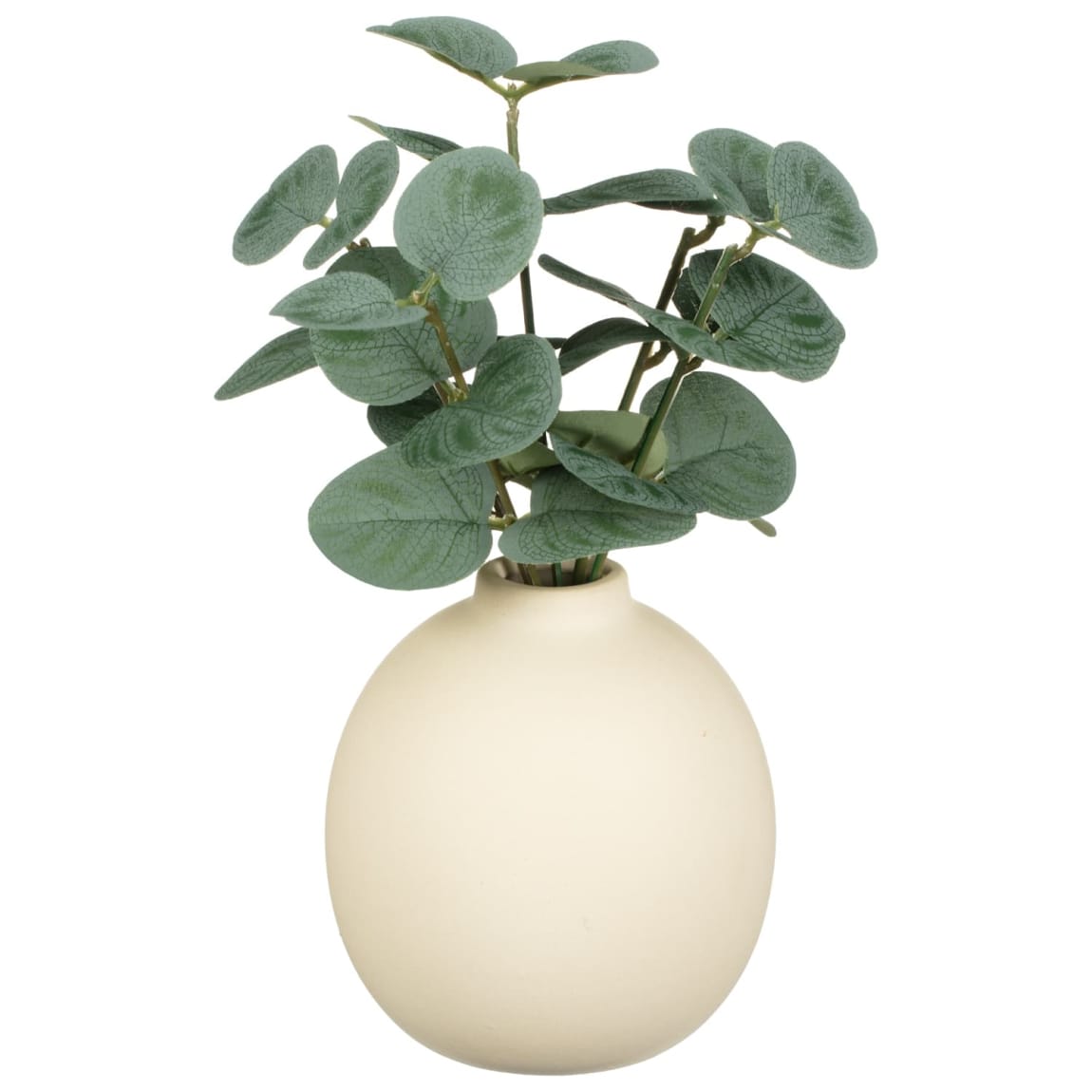 434833-eucalyptus-in-ceramic-pot