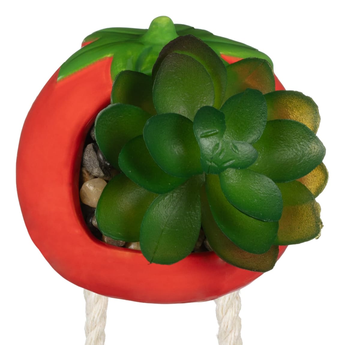 434836-dangly-leg-foliage-tomato-2