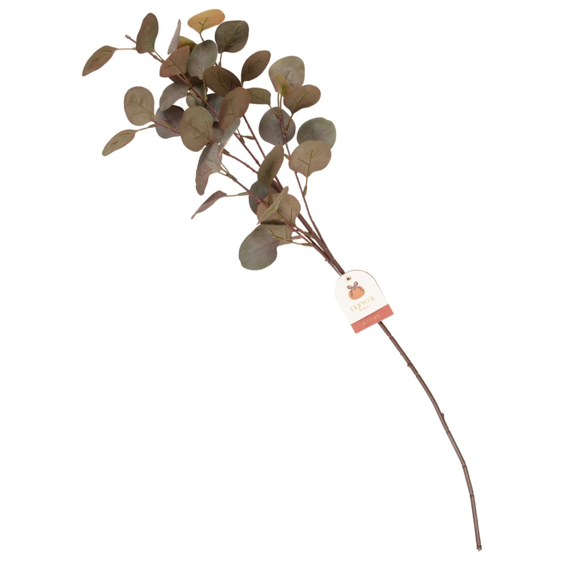 434933-oak-leaf-stem-2