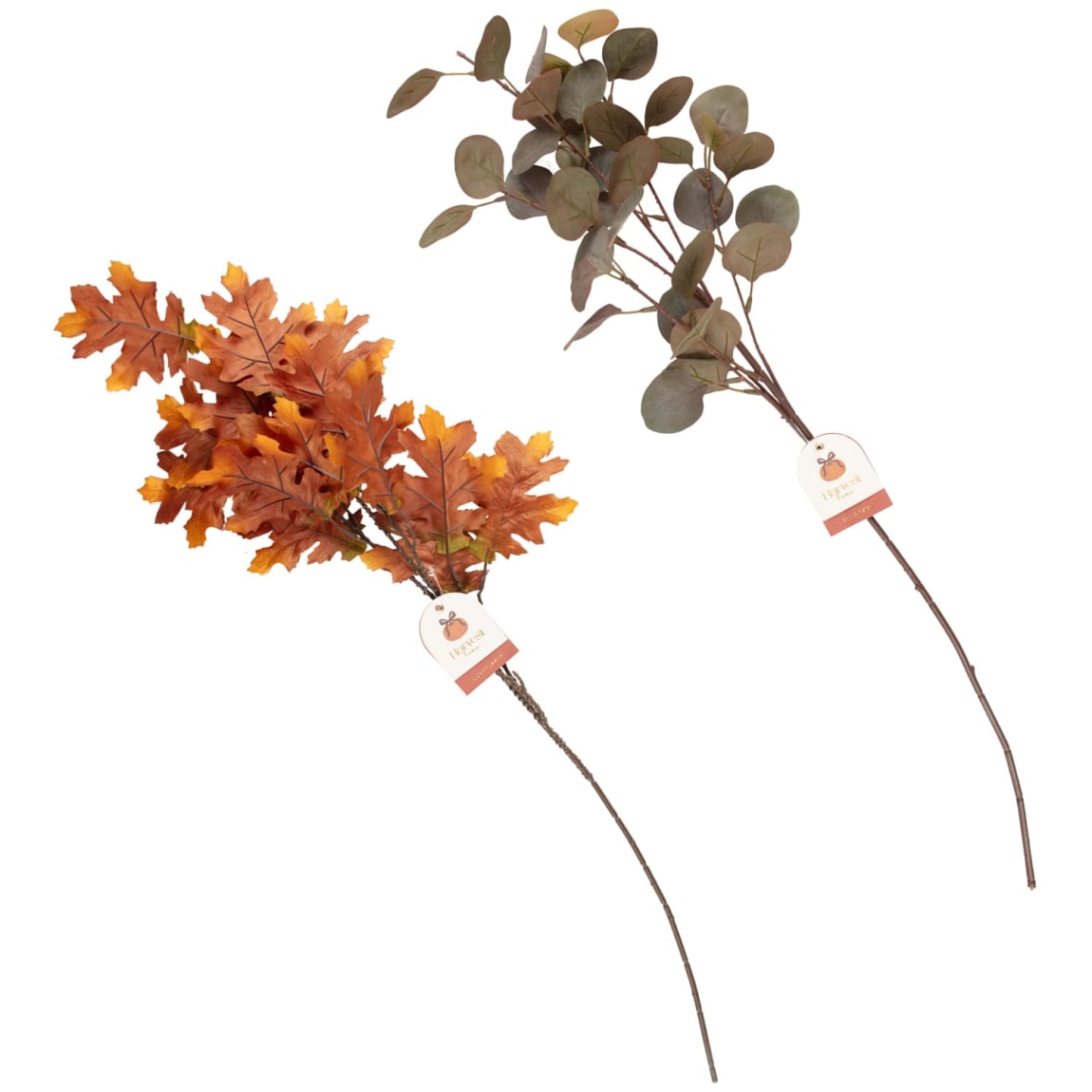 434933-oak-leaf-stem
