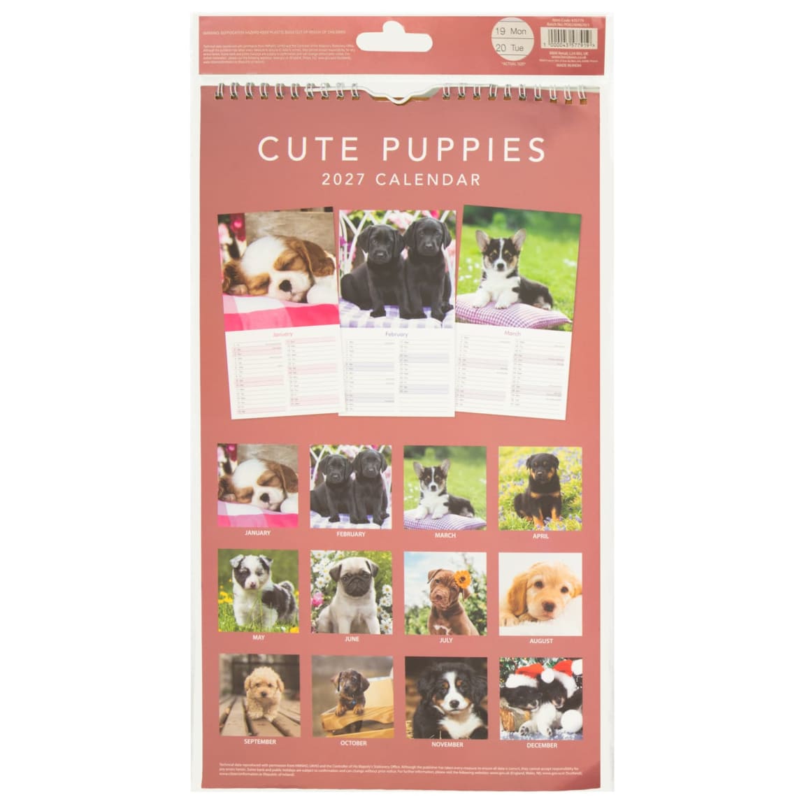 435779-midi-photograph-calendar-2027-puppies-2