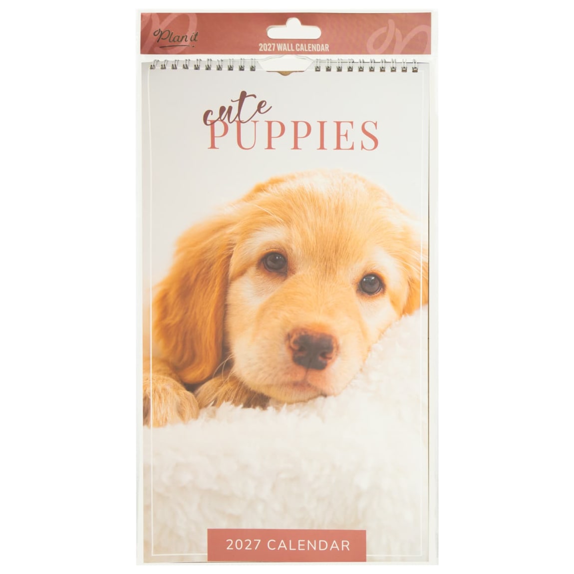 435779-midi-photograph-calendar-2027-puppies