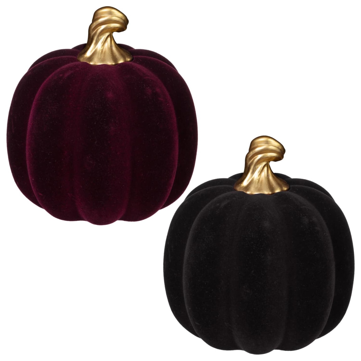 435839-flocked-pumpkin-group