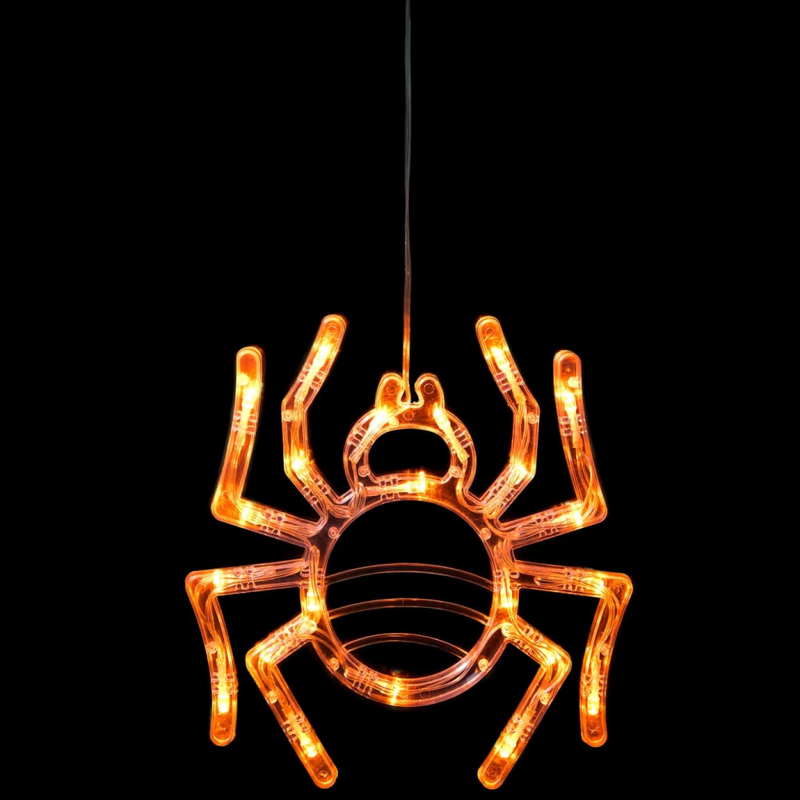 436065-orange-spider-window-light