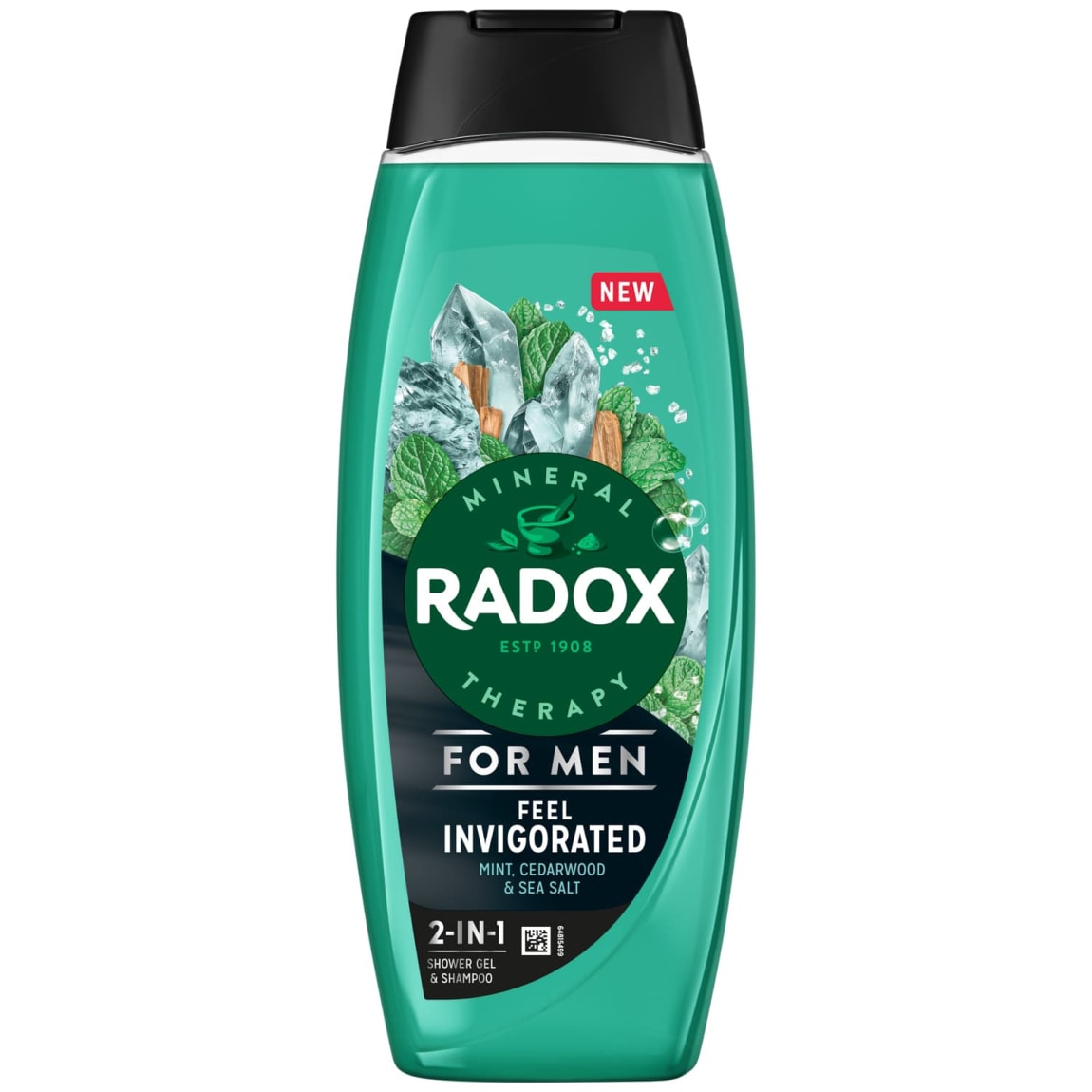 436540-radox-therapy-men-shower-gel-450ml-feel-invigorated
