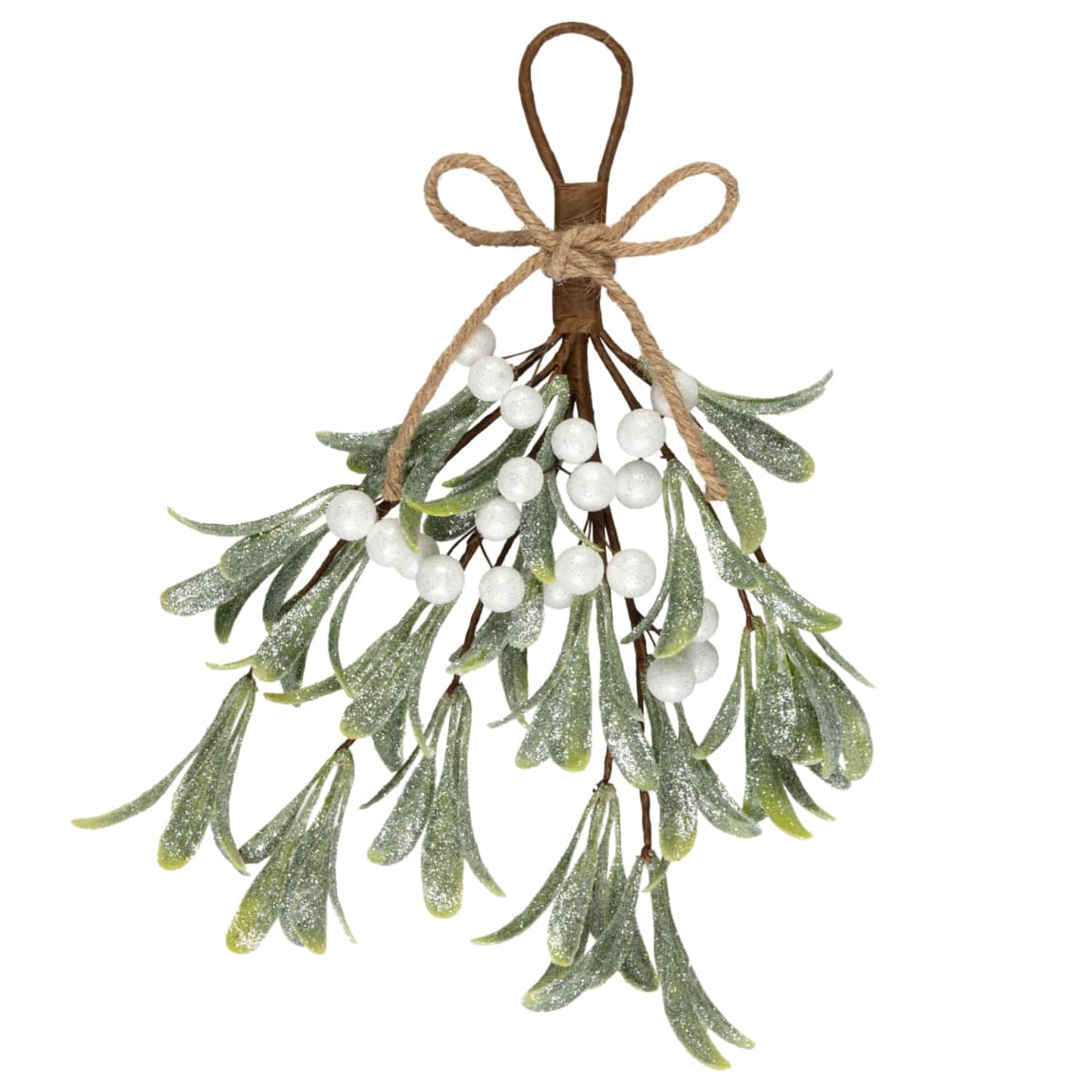 437023-hanging-mistletoe