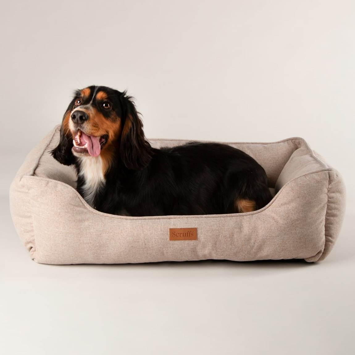 437092-scruffs-harmony-box-bed-medium-50-x-60cm-2