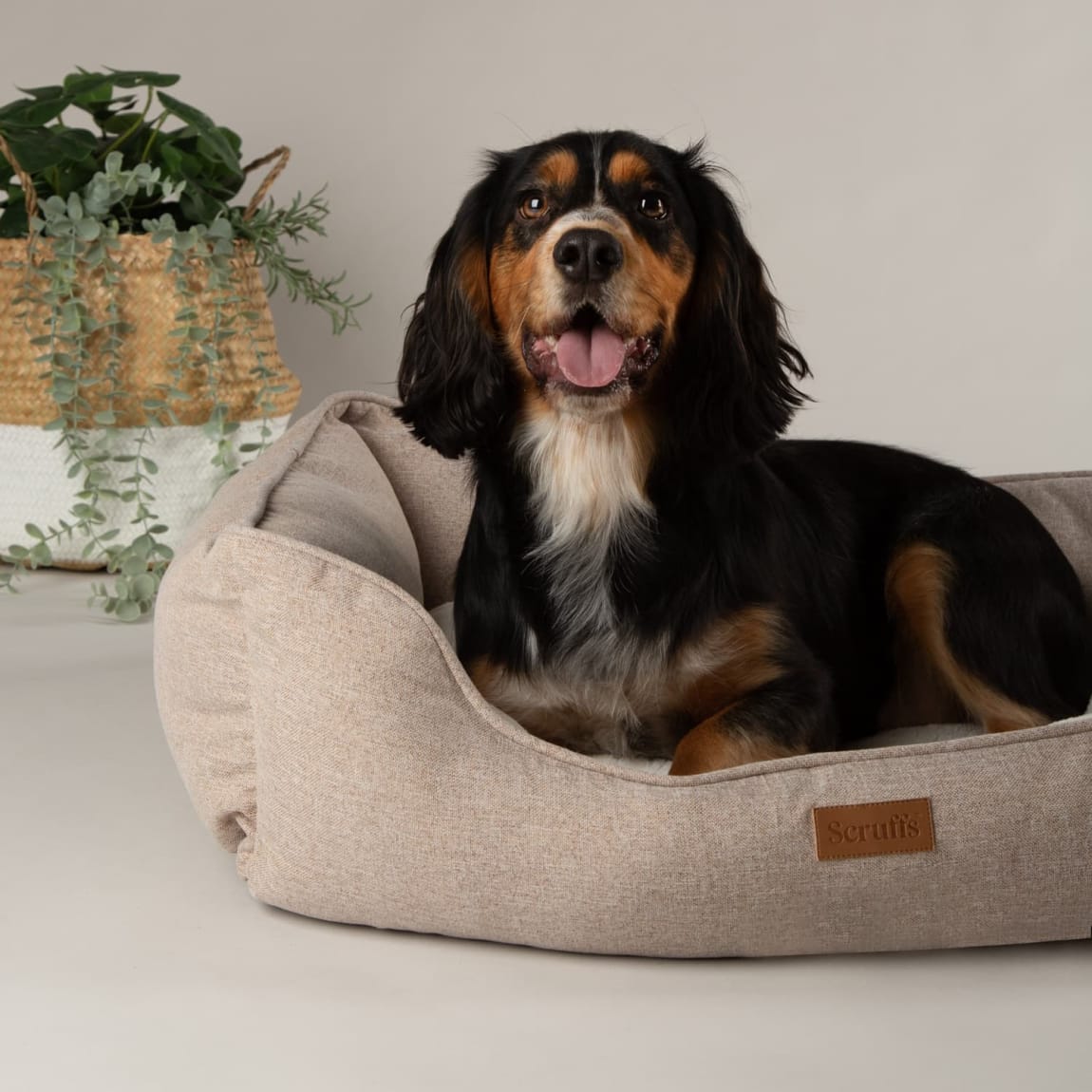 437092-scruffs-harmony-box-bed-medium-50-x-60cm-4