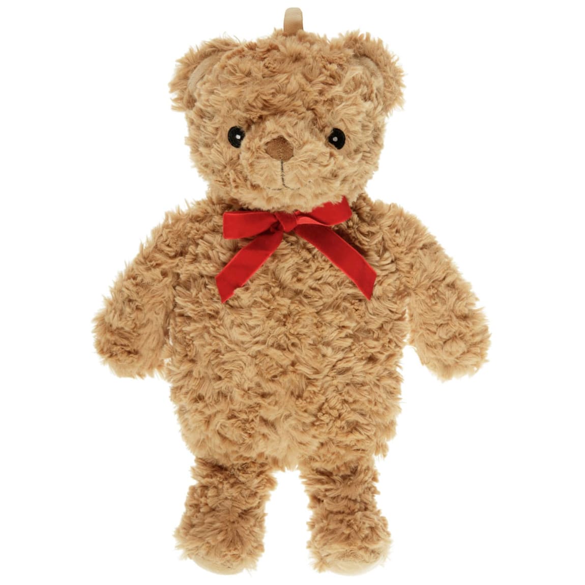 437539-teddy-bear-hot-water-bottle