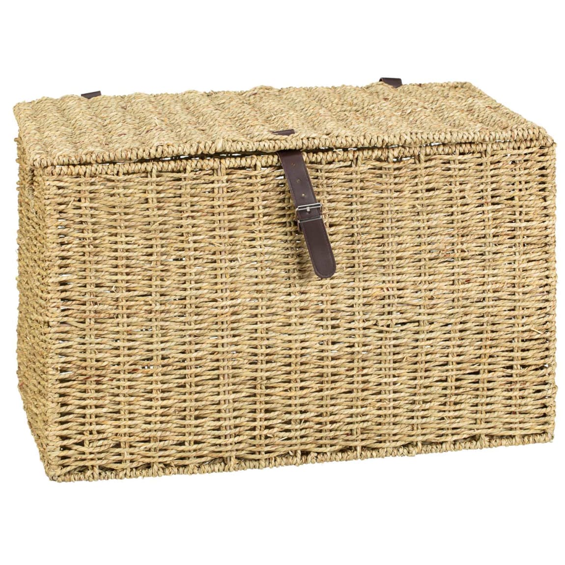 438063-large-seagrass-trunk
