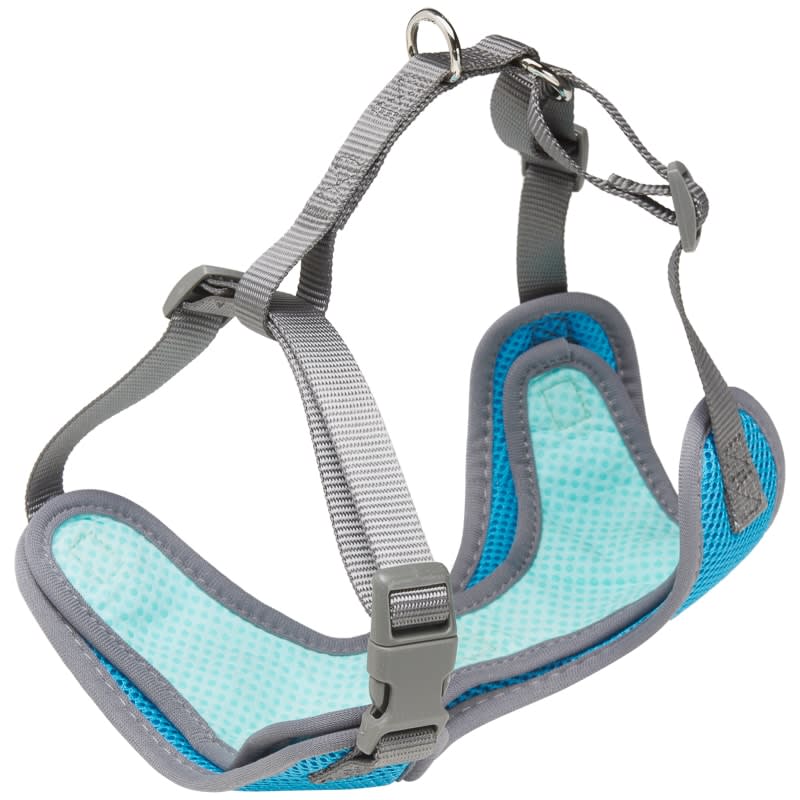 b&m dog harness