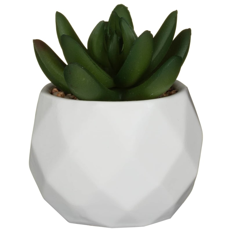 Mini Geometric Succulent Green Artificial Plants B&M
